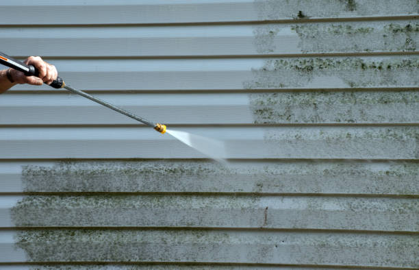 Best Driveway Pressure Washing  in Auburndale, FL